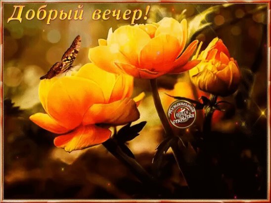 Хорошего вечера с бабочками