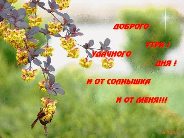 Пожелания хорошего дня природа