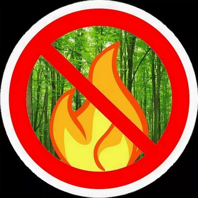 Знак берегите детей. Экологические знакики. Природоохранные знакизнак. Запрещающие знаки в лесу. Знаки защиты природы.