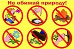 Знаки поведения в лесу для дошкольников