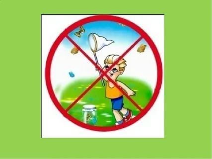 Знаки охраны природы