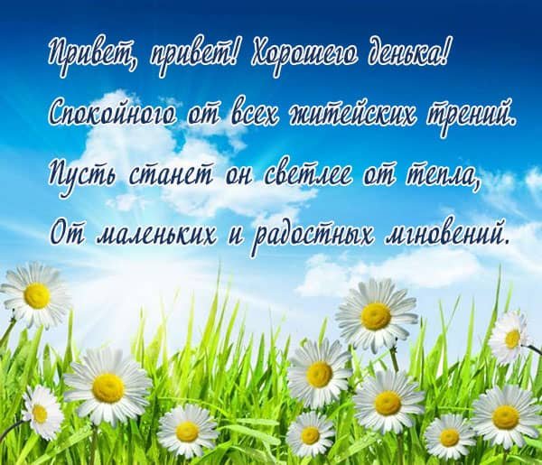 Открытки с добрым утром с ромашками в стихах