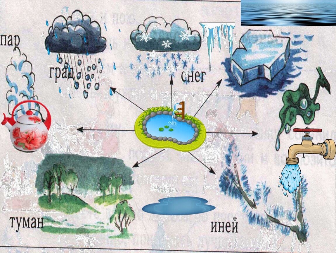 Рисунки состояния воды. Иллюстрации воды в природе. Вода в природе для дошкольников. Тема вода для дошкольников. Проект вода.