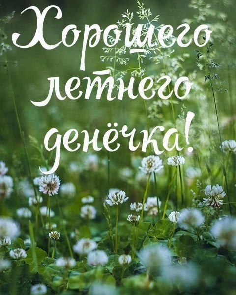 Доброе утро картинки