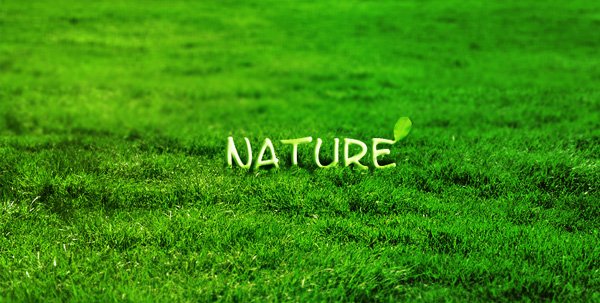 Nature надпись красивая