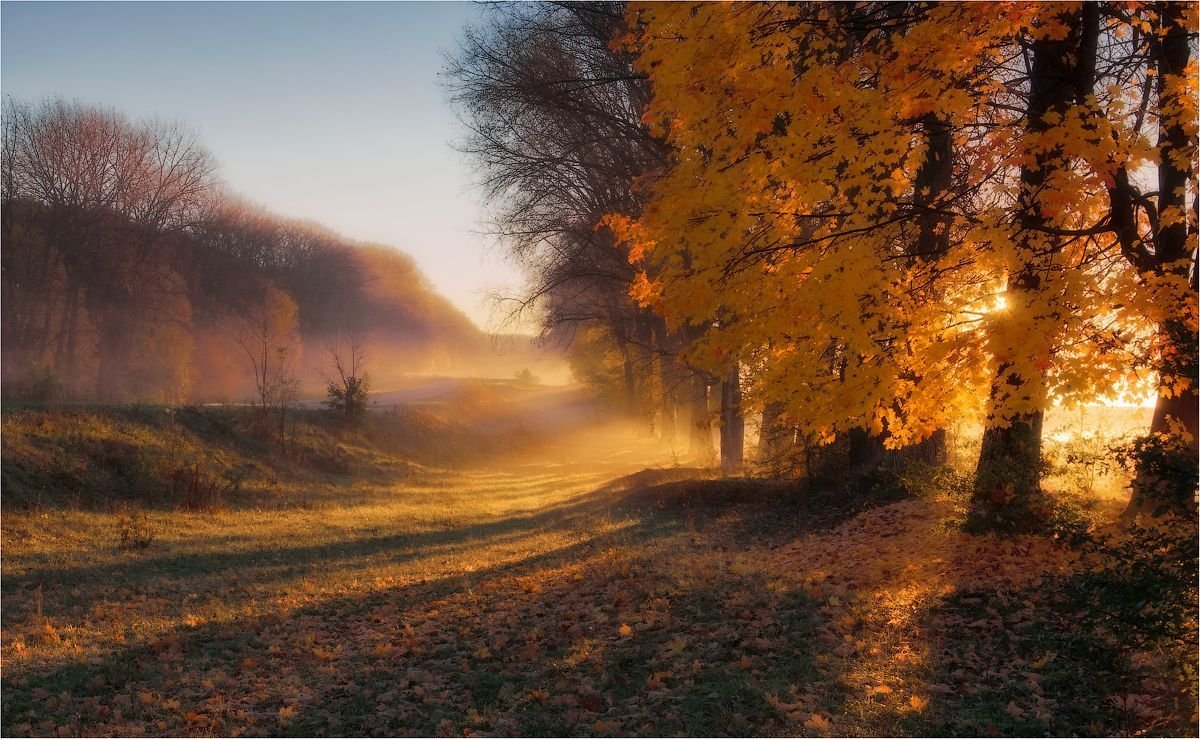 Осеннее утро картинки красивые. Тютчев осенний вечер пейзаж. Осеннее утро. Осень раннее утро. Утро ранней осенью.