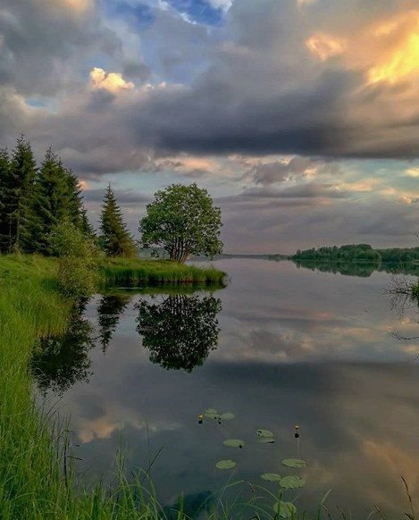 Благодать природы