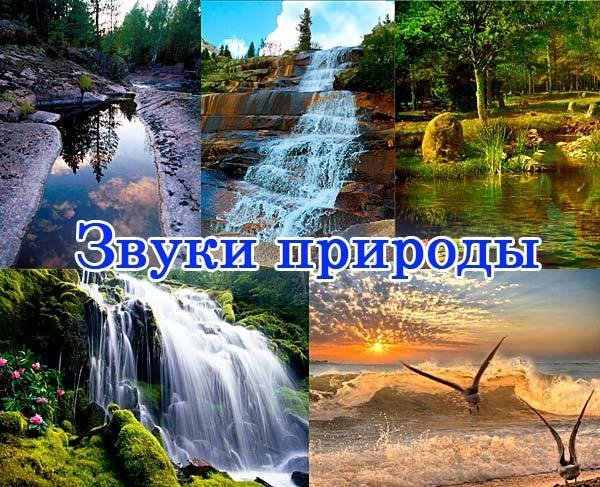 Звуки природы для детей