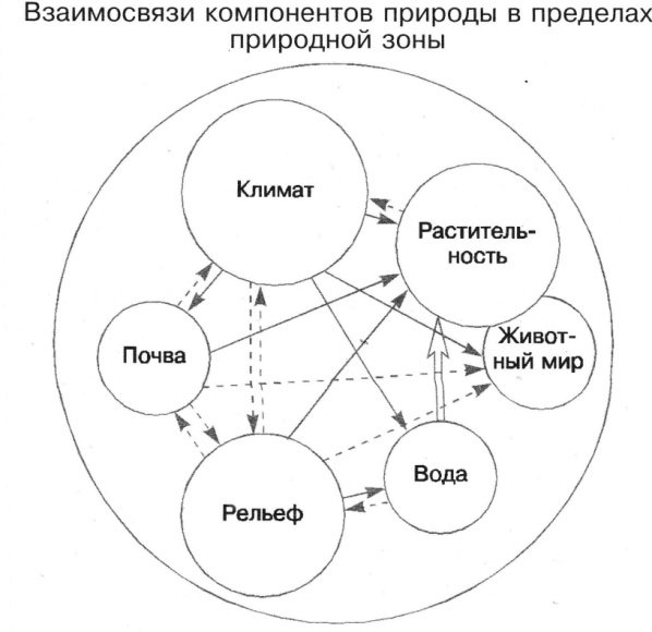 Компонент природного комплекса