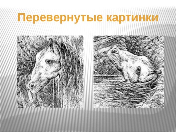 Обман зрения перевертыши