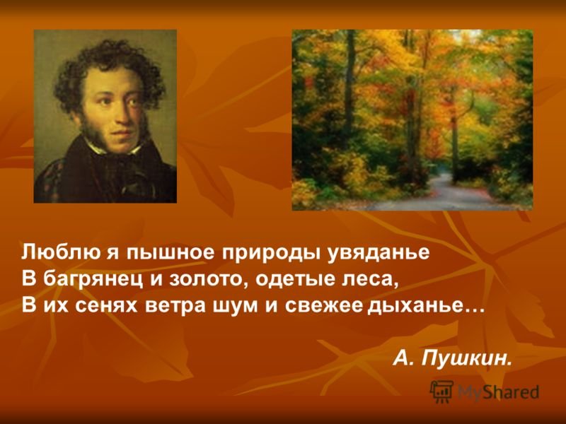 Тема осени пушкина. Стихи Пушкина про осень. Пушкин люблю я пышное природы увяданье. Стихотворение Пушкина про осень.