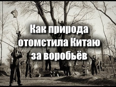 Природа нам мстит