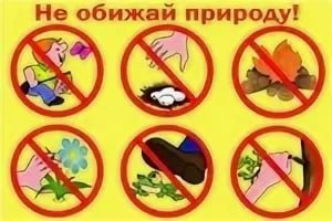 Нельзя обижать насекомых