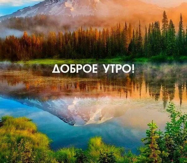Открытки с добрым утром с природой