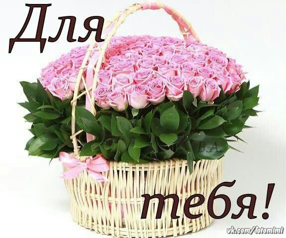 С днём рождения сестра