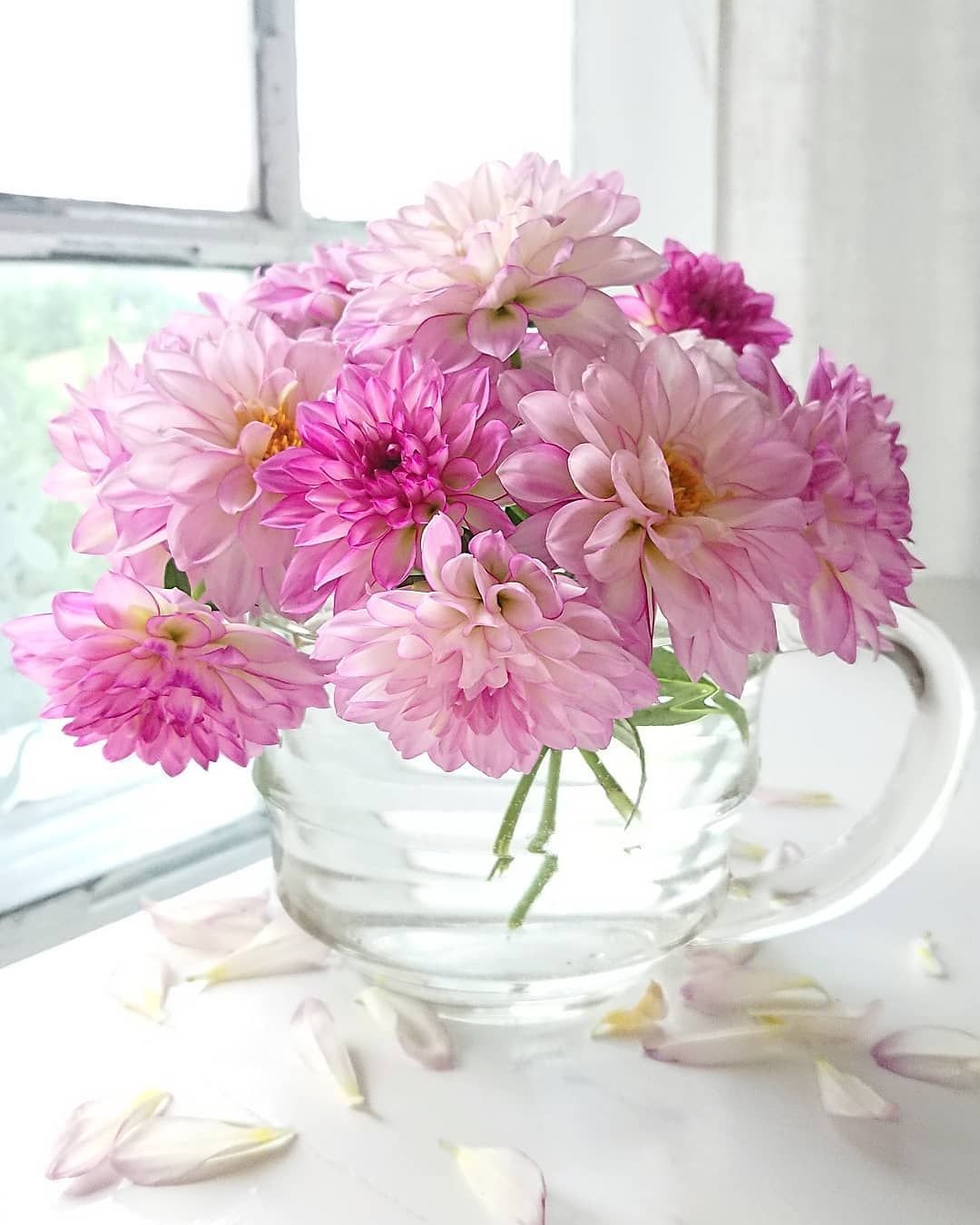 Фото красивых цветов с добрым утром
