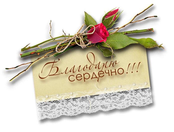 Открытка всем спасибо за поздравления и подарки - фото и картинки thebestterrier.ru