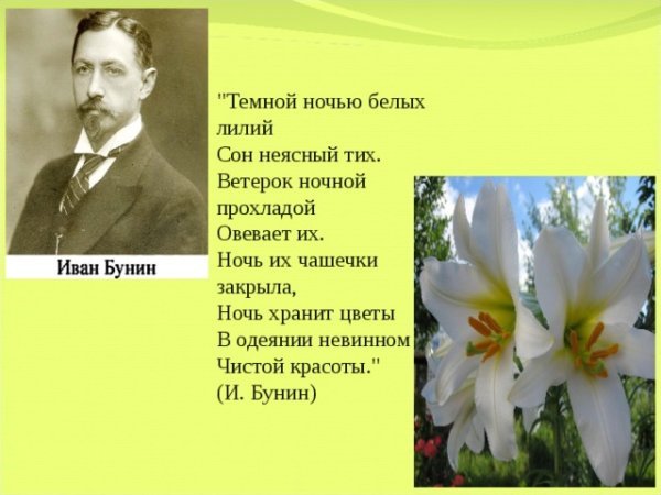 Екатерина штуц художник картины деревня