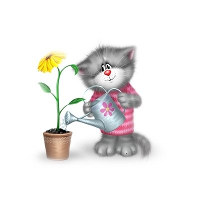 Котики Алексея Долотова с цветами