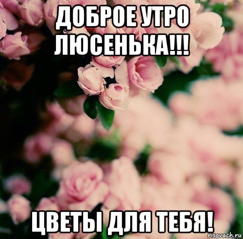 Открытка поздравляю