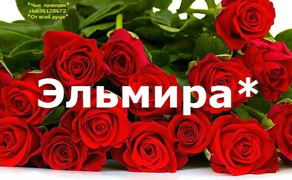 С днём рождения Эльмира