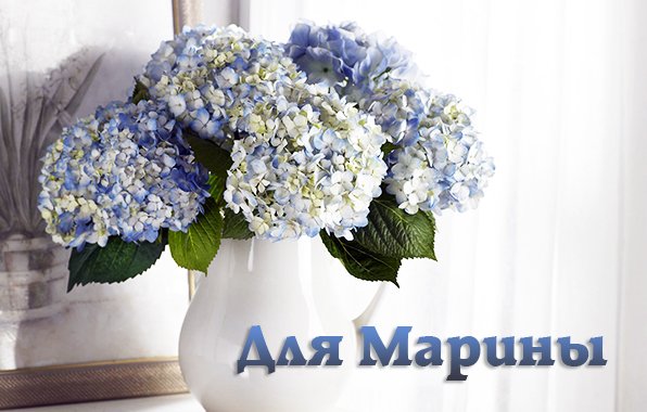 Цветы для Марины