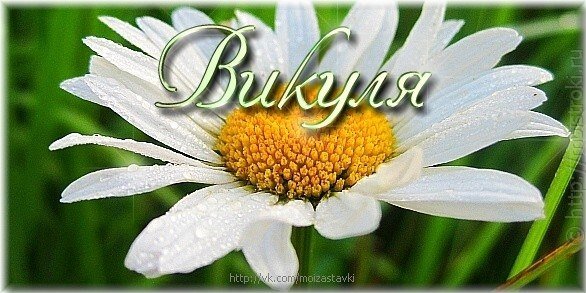 Ромашки для Виктории