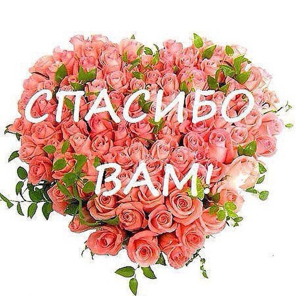 Спасибо вам огромное девочки