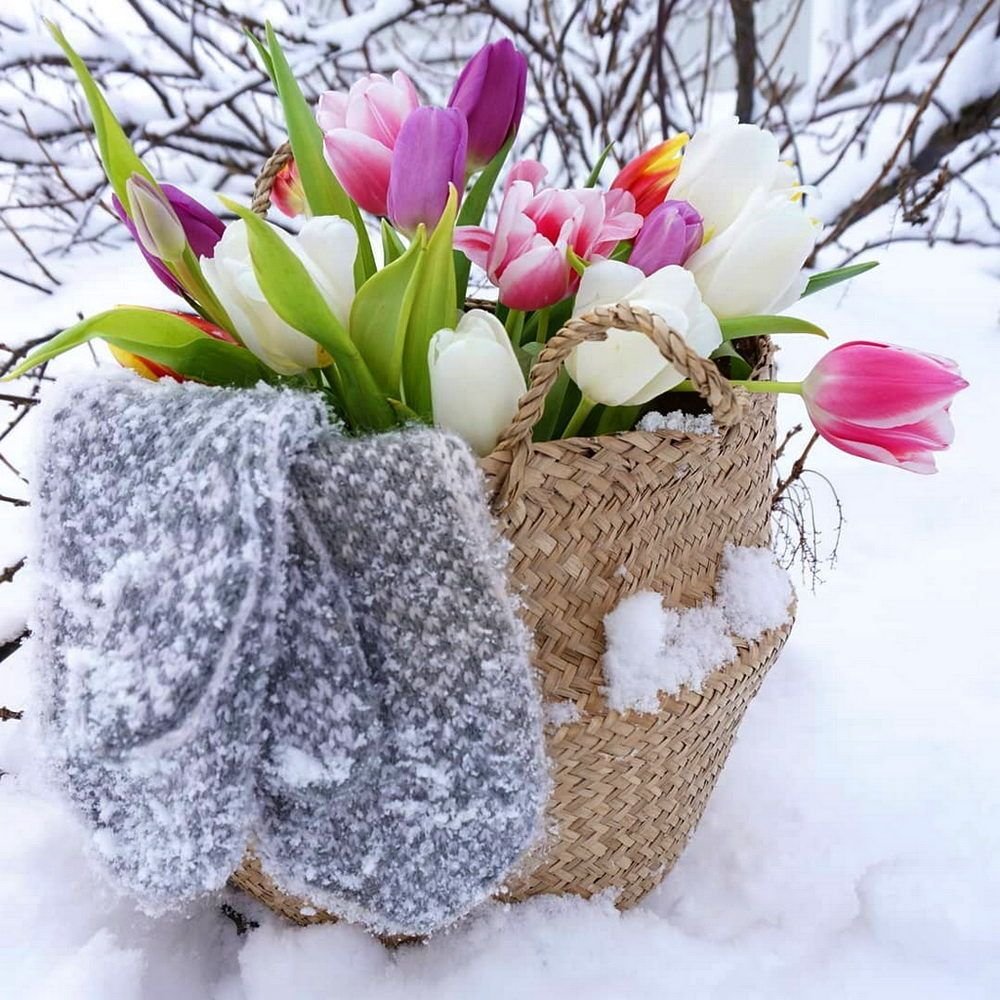 Букет цветов на снегу (75 фото)