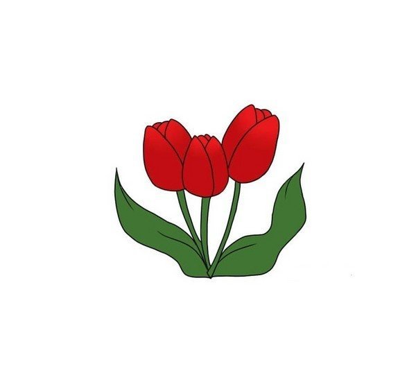 Рисунок к 9 мая тюльпаны