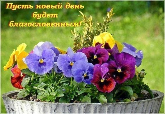 Анины глазки , доброе утро