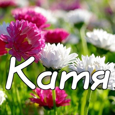 Цветы для Катюши