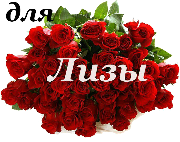 С днём рождения Лиза