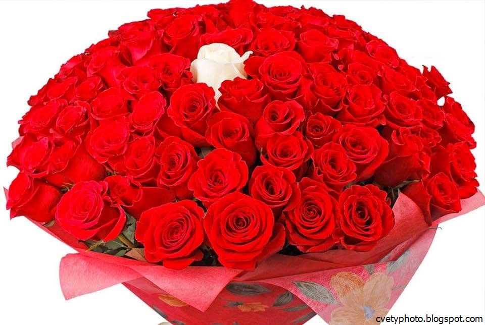 Букет роз для женщин большой и красивый. Шикарный букет роз. Самый красивый букет роз. Красивые большие букеты. Большой красивый букет цветов.