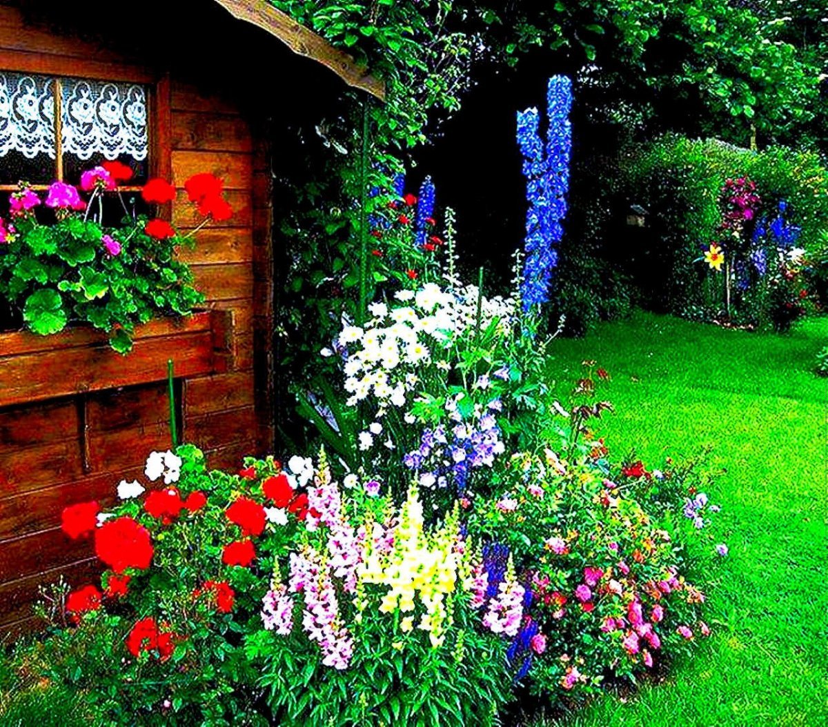 Красивые клумбы из многолетних цветов: 84 фото, готовые схемы | steklorez69.ru