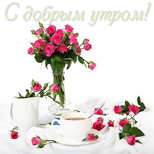 С добрым утром девушке цветы