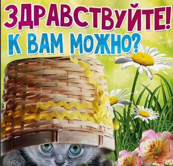 Здравствуйте открытки красивые