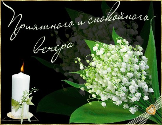 Доброго весеннего вечера