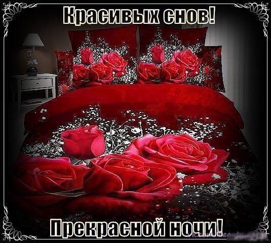Спокойной ночи сладких снов розы