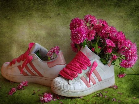Спортивные цветы