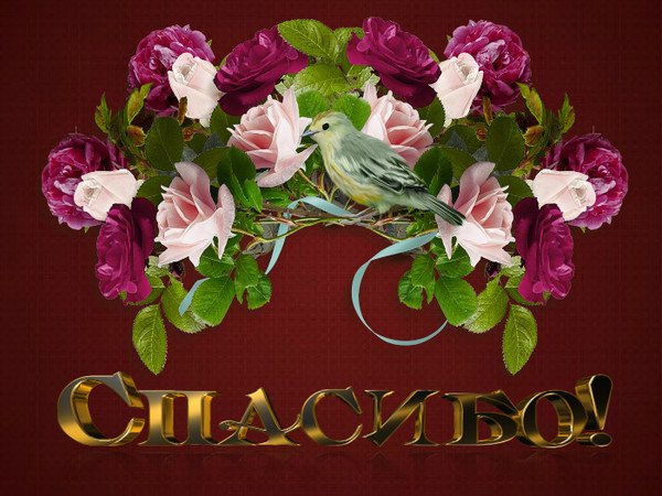 Спасибо с цветами