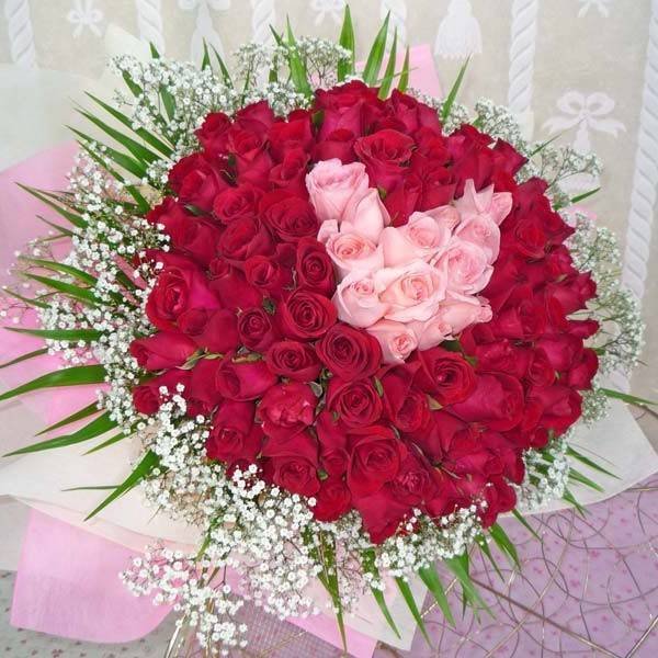 Роза кустовая Ангелина
