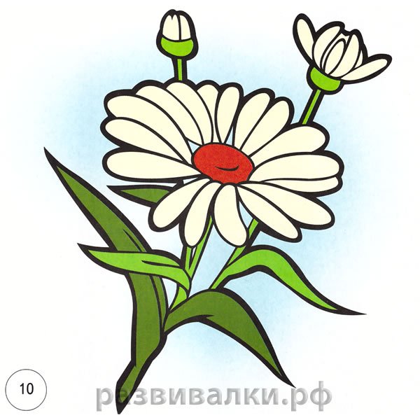 Пазлы цветы для детей