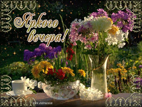 Прекрасного летнего вечера и хорошего настроения