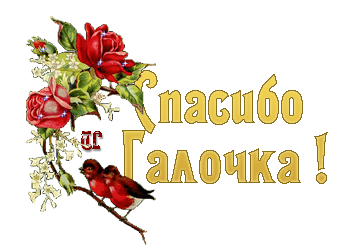 Спасибо галочка