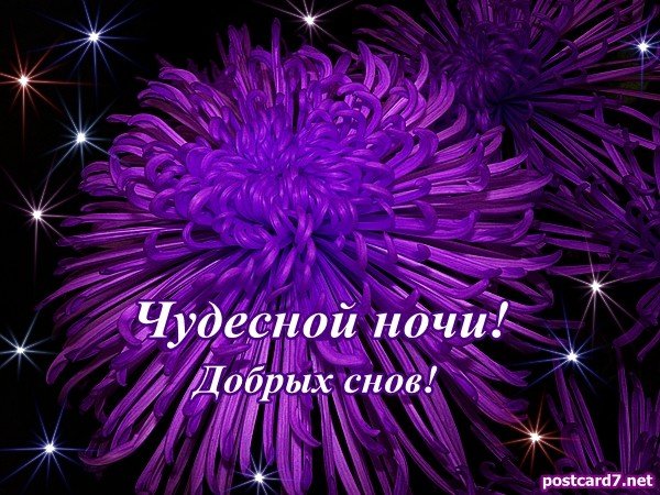 Чудесной ночи