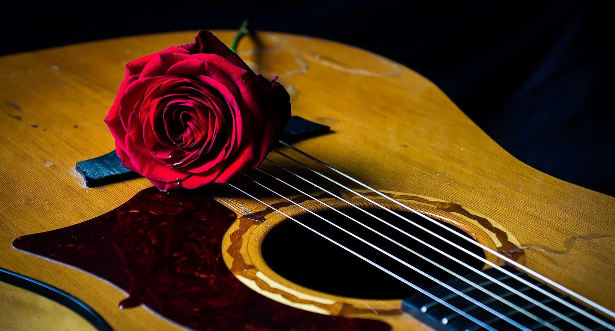 Ты самая красивая на гитаре. Электрогитара и цветы. Гитара цветы. Гитара фон.