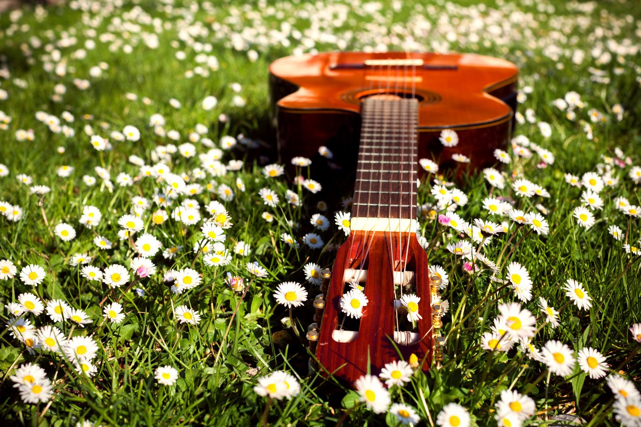 Загородная музыка. Гитара цветы. Гитара в цветах. Гитара весной. Гитара с ромашками.