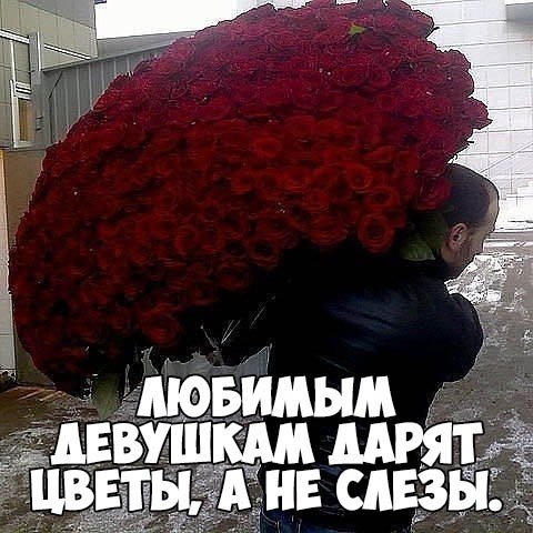 Цветы от любимого мужчины статусы