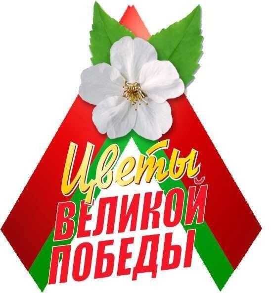 Ленточка Победы в Беларуси